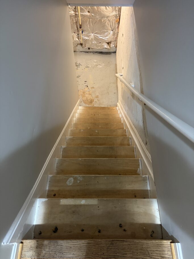 Looking down a wooden staircase into an unfinished basement area with exposed ceiling insulation.