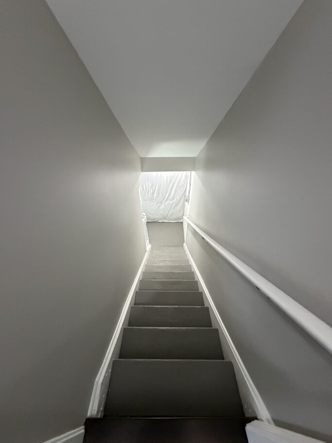 View looking down a carpeted staircase with white walls and a white handrail leading to a doorway.